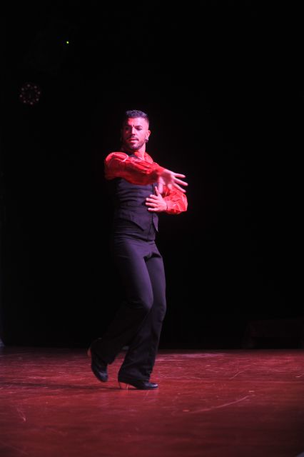 Tenerife: Flamenco Performance at Teatro Coliseo