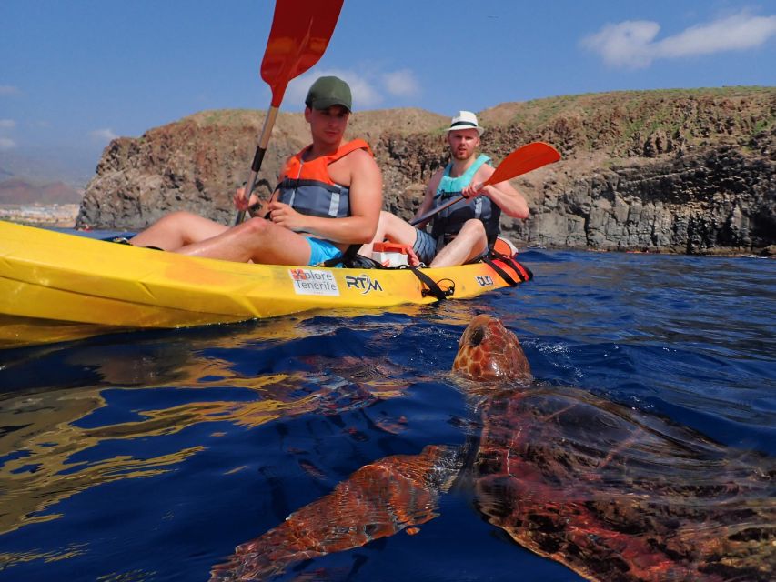 Tenerife: Kayak and Snorkel With Turtles, Wetsuits Included