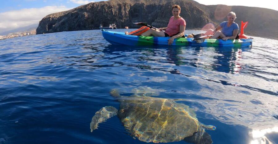 Tenerife: Kayak and Snorkeling Tour With Photos