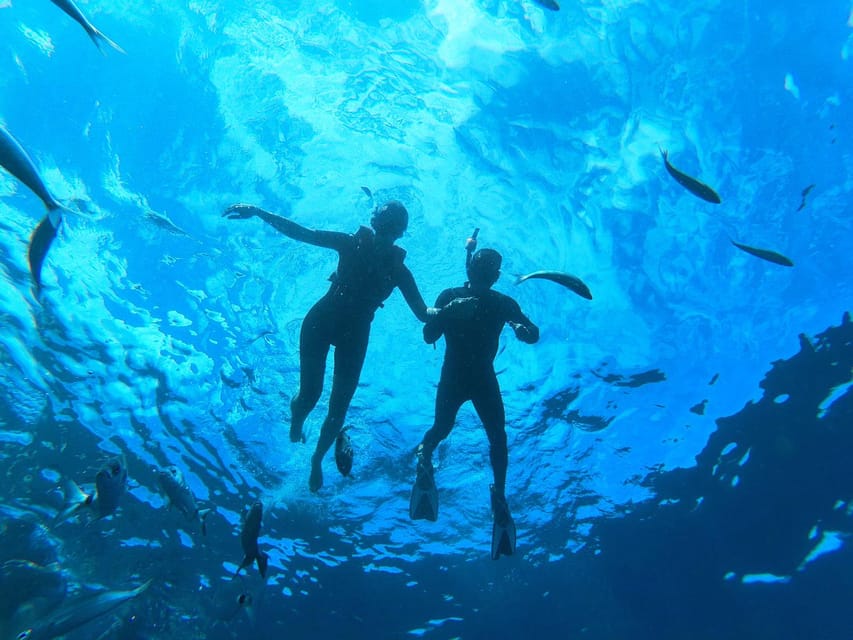 Tenerife: Snorkeling and Kayaking With Marine Life in Palm Mar