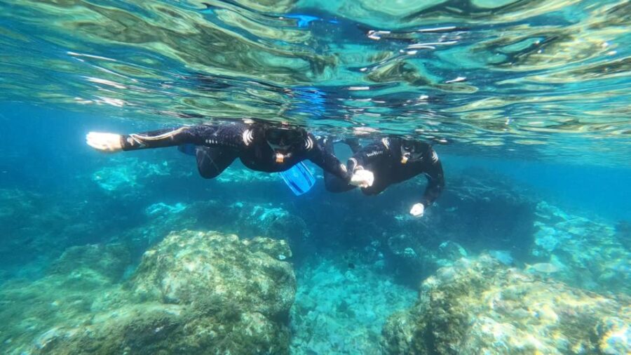 Tenerife: Snorkeling Tour in a Marine Protected Area