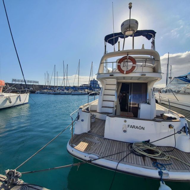 Tenerife South: Safari With Luxury Boat, Animal Encounters