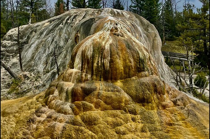 The Grand Yellowstone 3 Day Private Experience From Cody Wyoming