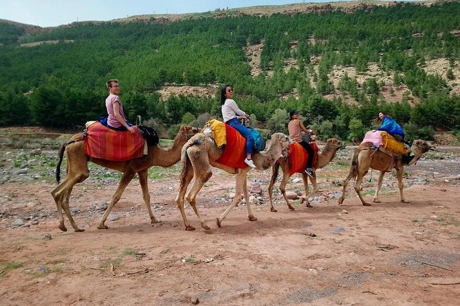 Three Valleys & Waterfalls & Atlas Mountains – Camel Ride Day Trip Marrakech