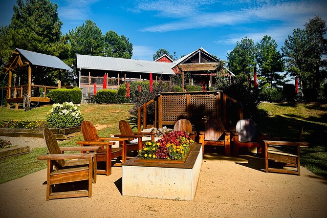 Three Vineyards Half Day Private Wine Tour Review