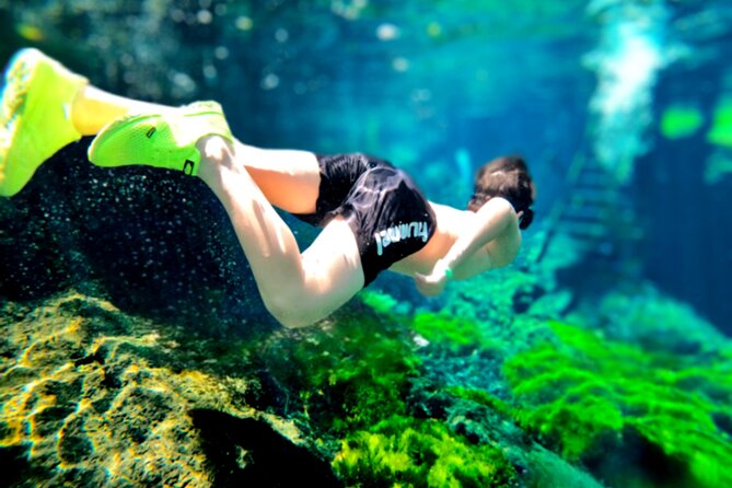 Toh Tours Adventures Cenotes Chemuyil