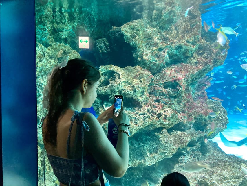 Tokyo : Aquarium Backyard Tour and Tokyo View Observatory