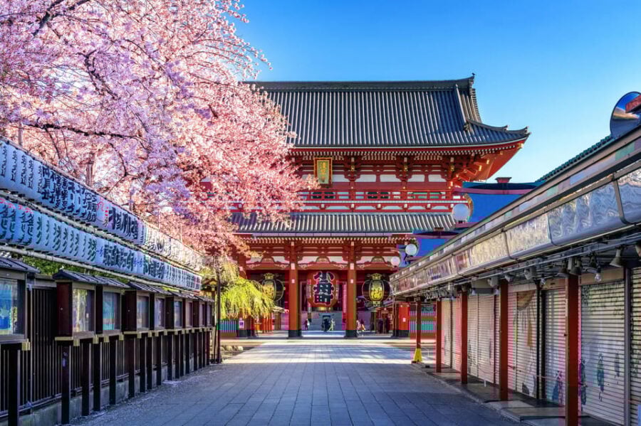 Tokyo City Private Tour With English Speaking Driver - Tour Overview and Pricing