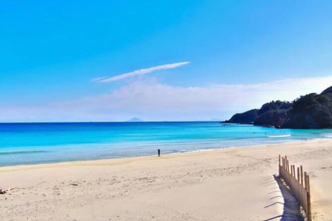 Tokyo Day Trip to Izu and Shimoda