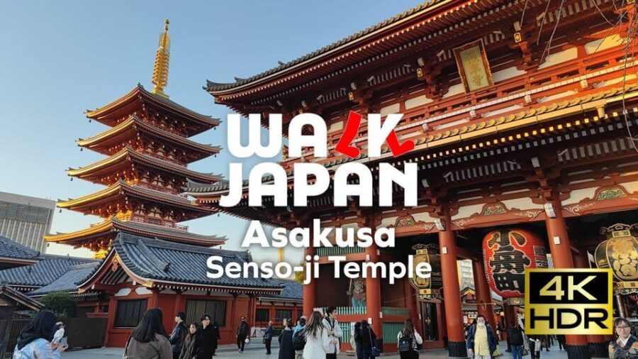 Tokyo Full-Day Tour Skytree Meiji Shrine With English Driver
