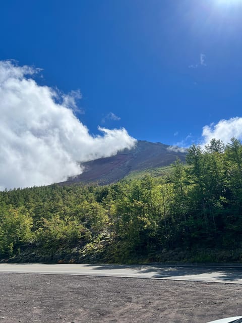 Tokyo: Hakone and Mount Fuji Private Sightseeing Day Tour