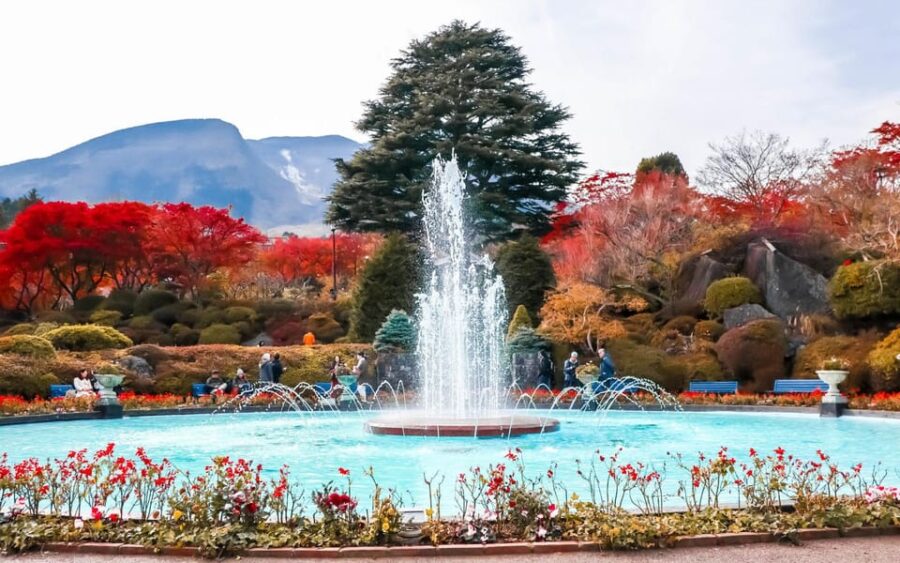 Tokyo : HAKONE X 3xperiences+Owakudani+Gotemba (1 Day Tour)