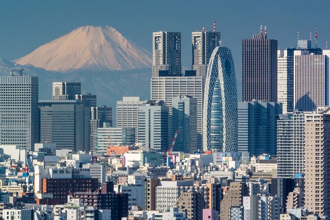 Tokyo: Haneda Airport Private Transfer to City Hotels - Service Overview