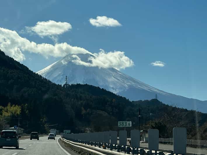 Tokyo: Mount Fuji and Hakone Private Sightseeing Day Tour