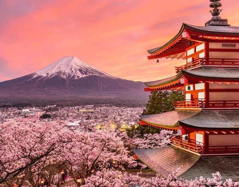 Tokyo: Mount Fuji Full Day Private Sightseeing Guided Tour