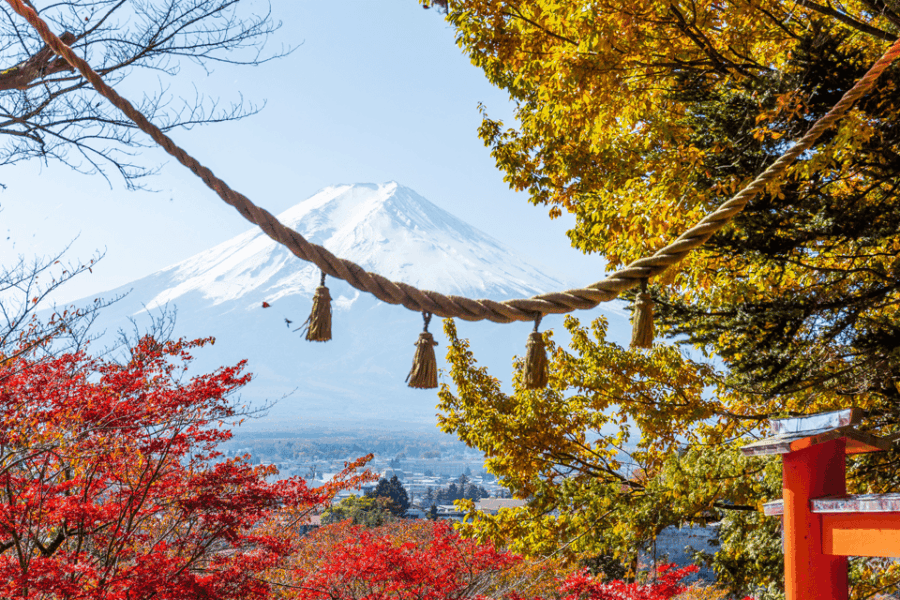 Tokyo: Mount Fuji Highlights Tour With Boat Cruise & Ropeway - Tour Overview and Pricing