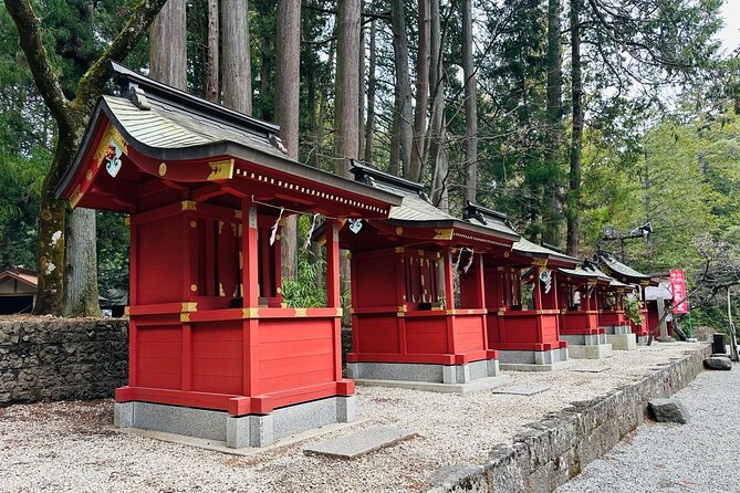 Tokyo: Mount Fuji One Day Private Tour by Car With English Guide