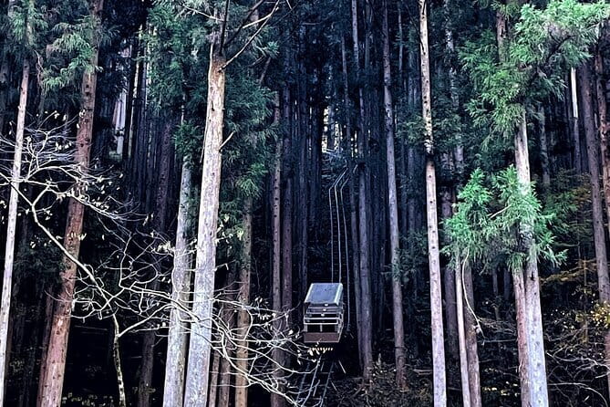 Tokyo Mountain History and Culture Eco Tour