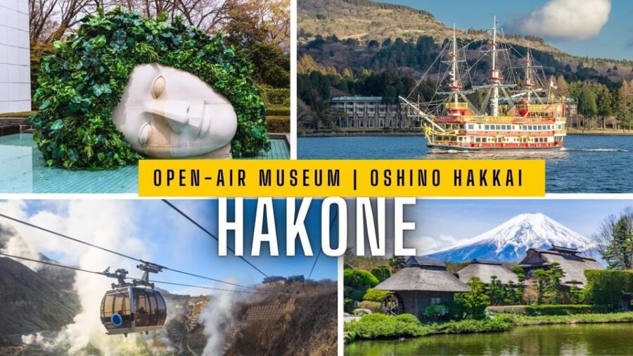 Tokyo: Mt.Fuji, Hakone & Open-Air Musuem or Oshino Hakkai