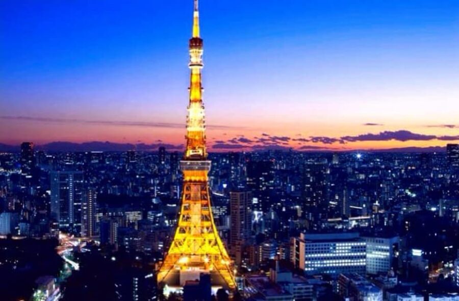 Tokyo One Day Private Tour With English Speaking Driver
