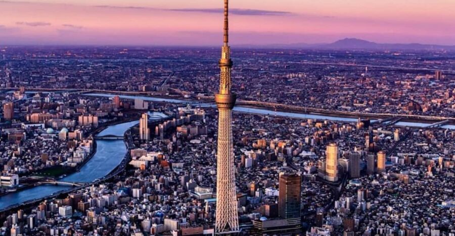 Tokyo One Day Private Tour With English Speaking Driver