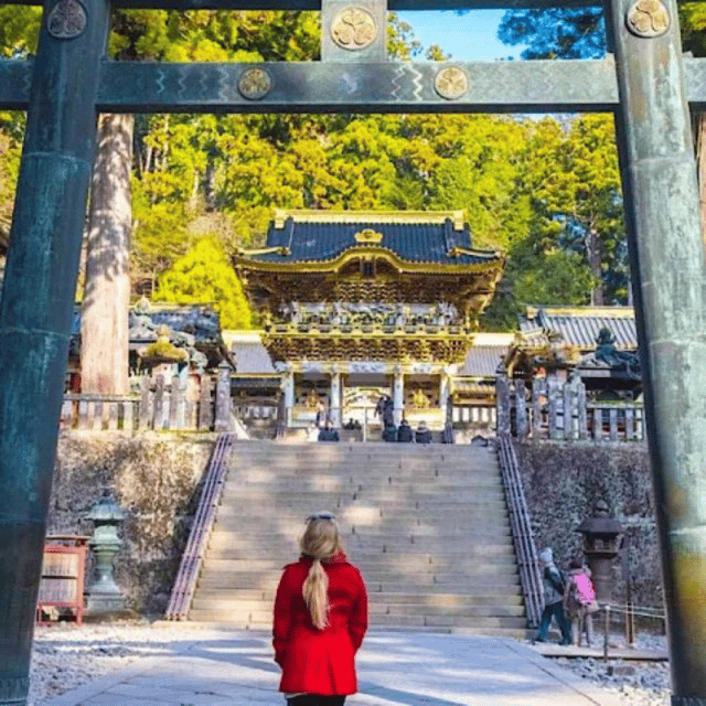 Tokyo: Private Nikko World Heritage Instagramable Day Tour