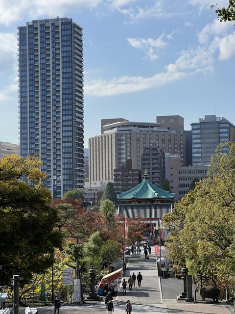 TOKYO Private Visit Guide Speaking French