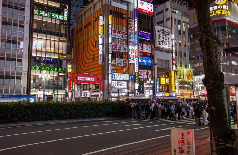 Tokyo Shinjuku: Private Walking Back Street Night Tour
