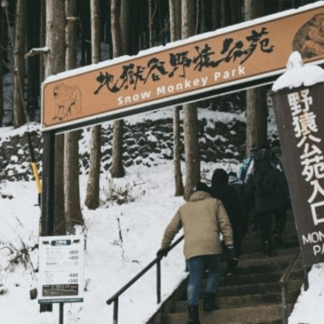 Tokyo: Snow Monkey Park and Zenkoji Temple Private Day Tour - Tour Overview