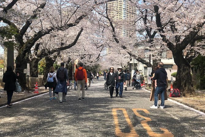Tokyo Spring Daytime (Cherry Blossom) Food Tour - Overview of the Tour