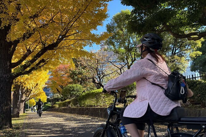 Tokyo Tower Area E-Bike Tour: Highlights and Hidden Gems - Tokyo Tower: Iconic Landmark and Panoramic Views