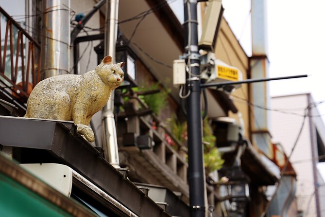 Tokyo Walking Tour of Historic Shopping Streets Yanaka