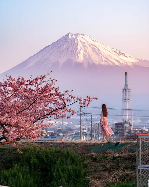 Tokyo:Mount Fuji & Hakone Customized Tour With English Guide