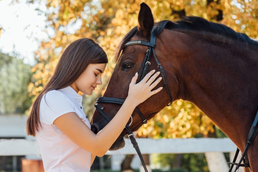 Torremolinos: Guided Tour to the Stables of El Ranchito