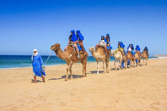 Tour 2×1: Arch + Camels + Mexican Lunch + Pick Up!