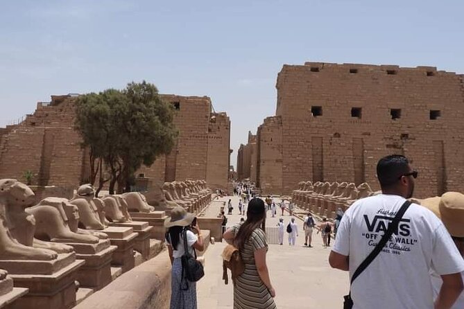 Tour In Luxor From Hurgharda By Bus