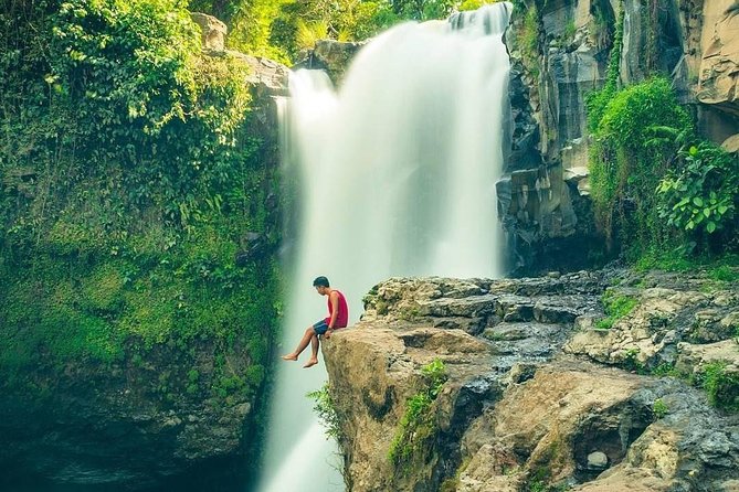 Tour Monkey Forest Review: A Must-Do Experience