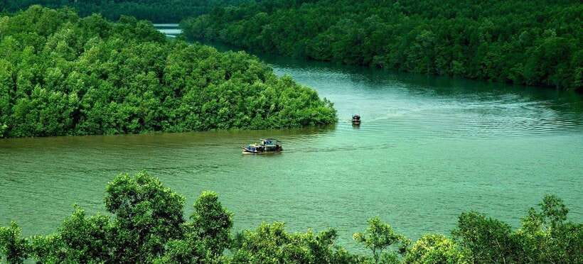 TP HCM: EXPLORE CAN GIO MANGROVE AND MONKEY ISLAND