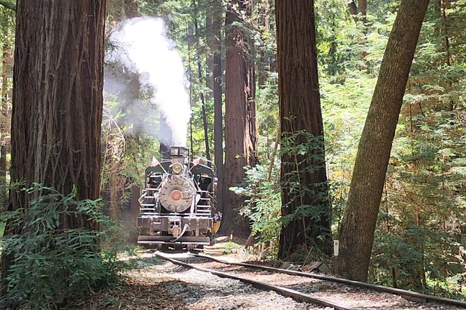 Train Ride Adventure Through Mother Natures Giant Redwoods Park