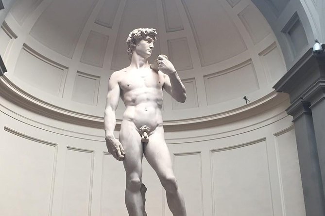 Transfer From Rome to Florence - Overview of the Transfer Service