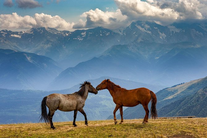 Trekking Tour From Tusheti to Kazbegi With Only Two Overnight Stays in Tents. - Tour Overview