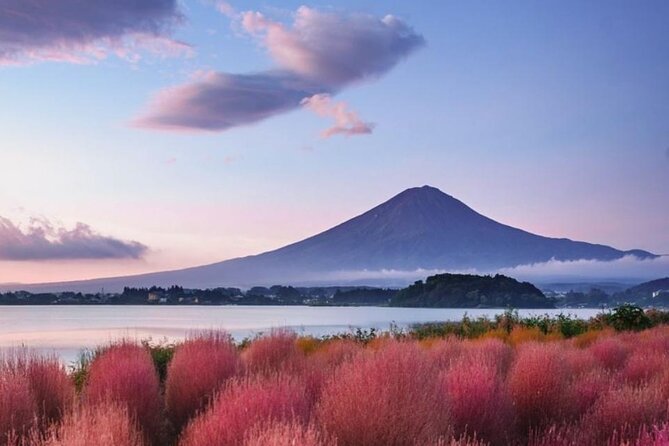 Trip to Mt Fuji and Lake Kawaguchiko With English Speaking Driver