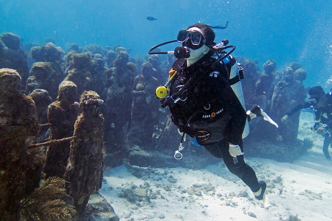 Try Dive in Cancun Underwater Museum - Overview and Experience