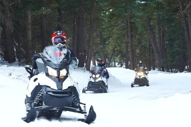 Turpin Meadow Ranch Snowmobiling Review