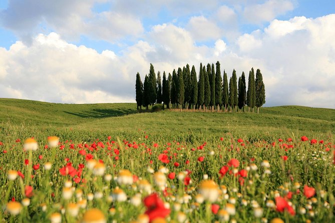 Tuscany Tour: Montepulciano, Pienza & Montalcino