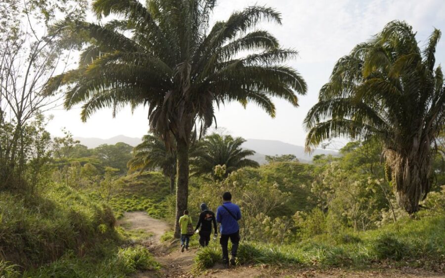 Two-Day Tour: Explore the New Lost City Ctg-Sta Marta - Tour Overview