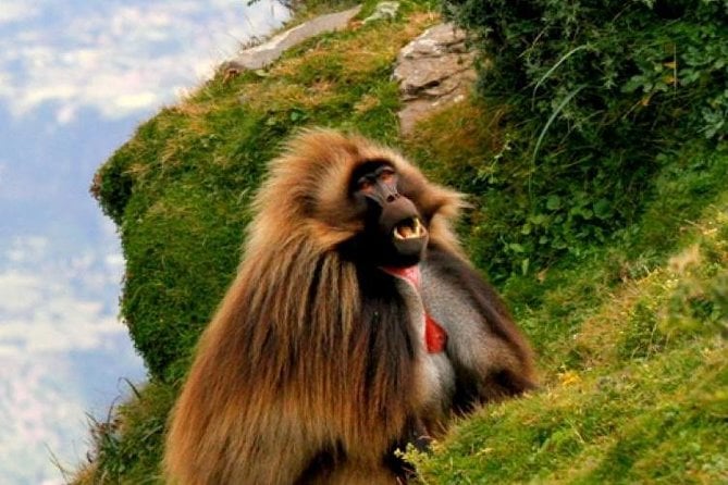 Two Days Lake Wenchi and Menagesha Forest