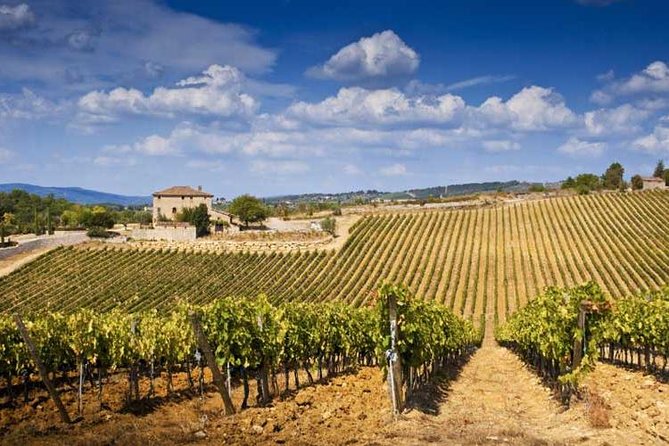 Two Days of Tuscany Discovering the Nobile, Brunello, Chianti Area