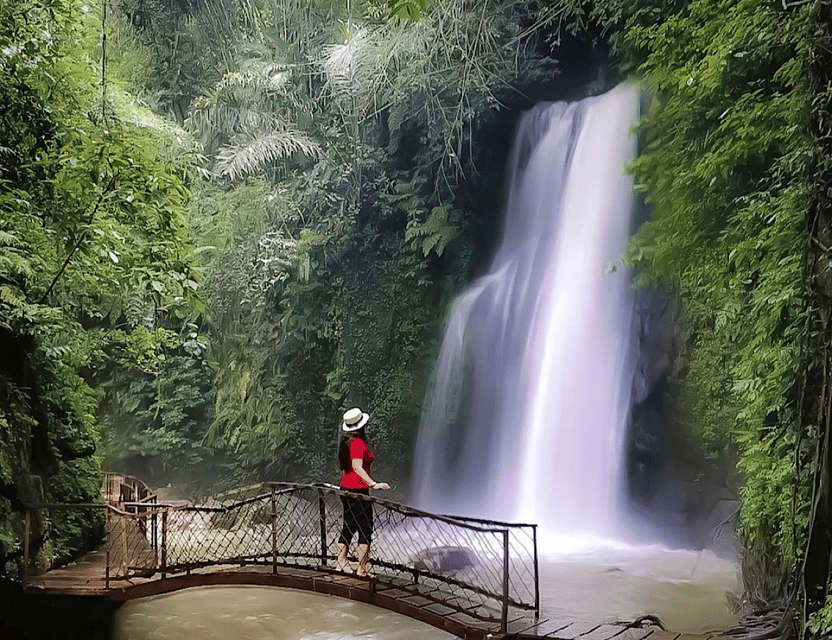 Ubud Monkey Forest, Rice Terrace, Waterfall and Water Temple