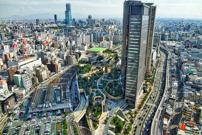 Ultimate Private Osaka Walking Experience - Walk With a Local - Inclusions